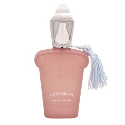 Carnation Eau de Parfum Men Brandini