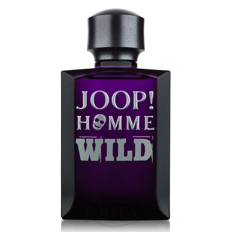 joop homme wild gift set