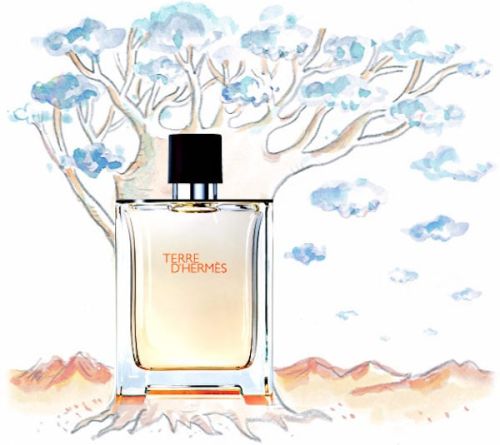 پرفیوم تق دی هرمس (Terre d Hermes Perfume)