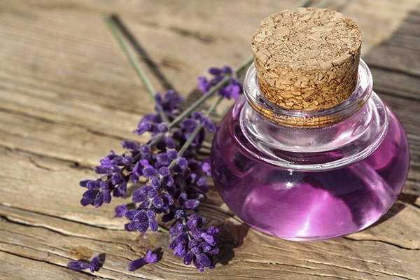 اسطوخودوس و کاربرد آن در عطرسازی