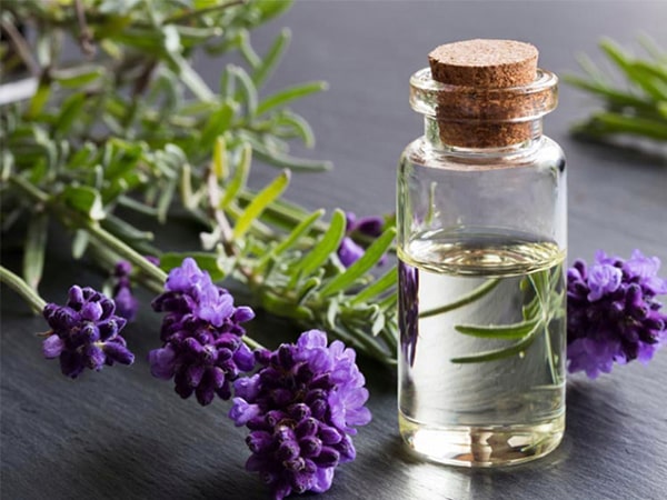 عطرهای با نت اسطوخودوس