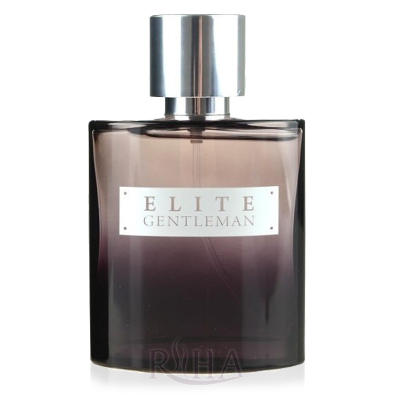 avon elite gentleman edt