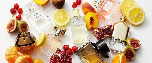 گلدار میوهای غنیشده