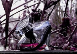 ادو پرفیوم لانکوم لانویت ترزور زنانه (Lancome La Nuit Tresor)