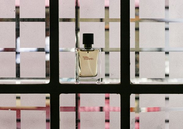 پرفیوم تق د هرمس مردانه (Terre d Hermes Perfume)