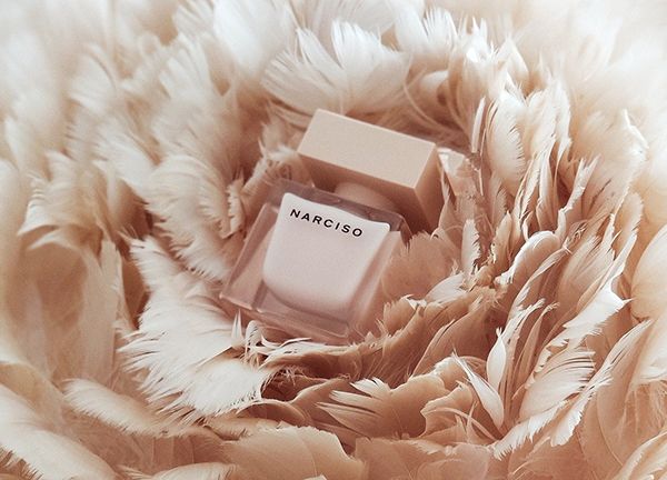 ادو پرفیوم نارسیسو رودریگز نارسیسو پودر زنانه (Narciso Rodriguez Poudree EDP)