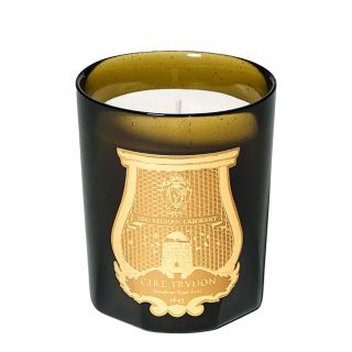 شمع معطر ارنستو ترودون1643