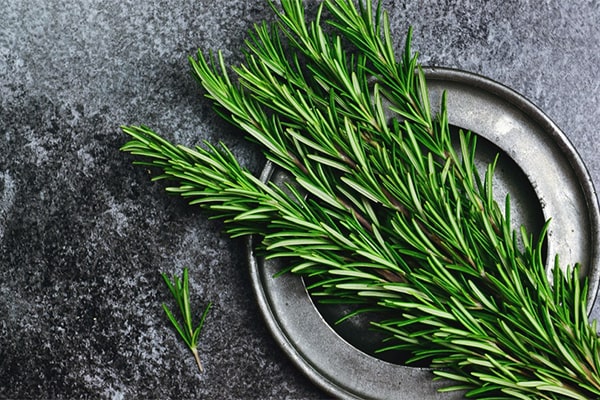 &nbsp;روغن رزماری