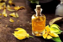 نحوه استفاده از اسانس یلانگ یلانگ