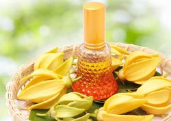 هفت عطر با یلانگ یلانگ