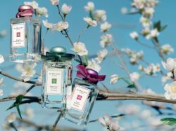 چگونه غلظت عطر مناسب خود را پیدا کنیم؟
