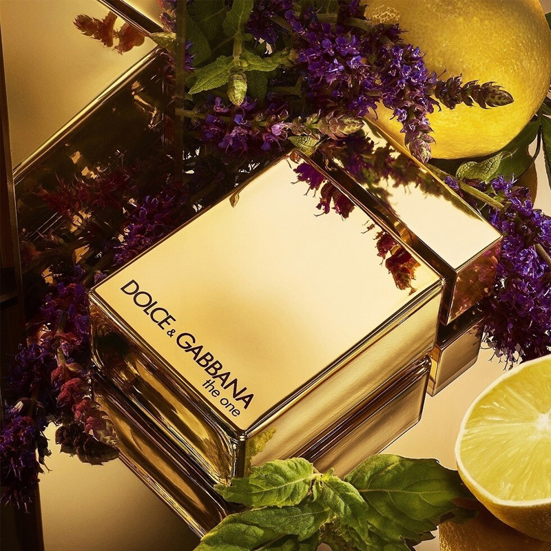 dolce gabbana the one gold man