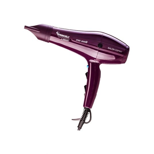 PR250AT Professional Hair Dryer Princely