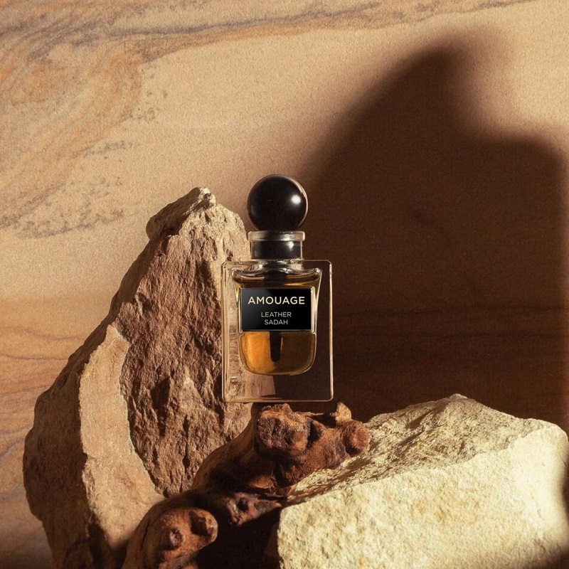 Leather Sadah Perfume Women and Men Amouage