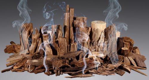 همه چیز در رابطه با نت چوب عود در عطرسازی