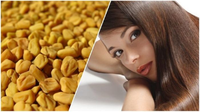 فواید پودر شنبلیله برای مو