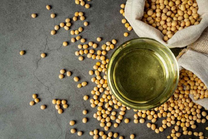 روغن سویا