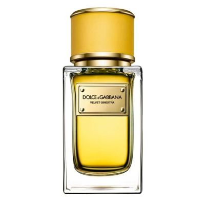 Velvet Ginestra Eau de Parfum Women Dolce & Gabbana - D&G